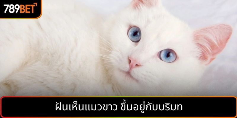 ฝันเห็นแมวขาว ขึ้นอยู่กับบริบท
