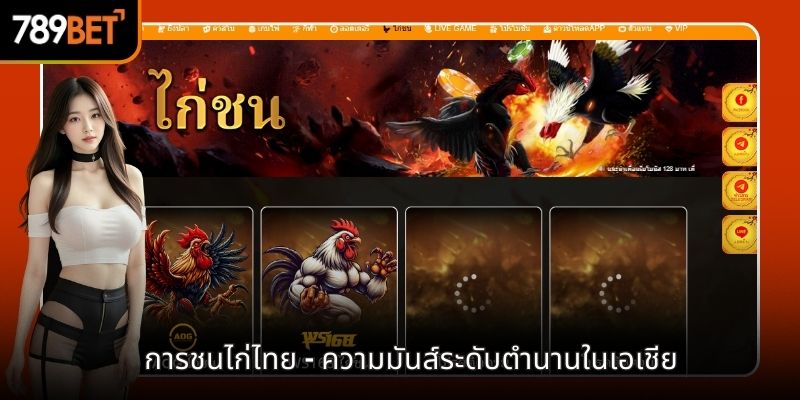 ไก่ชนไทย - การต่อสู้ที่ดุเดือดที่สุด