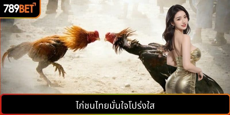 ไก่ชนไทยมั่นใจโปร่งใส